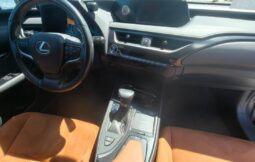 
										Lexus UX250 Hybrid full									