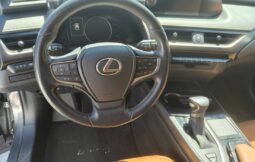 
										Lexus UX250 Hybrid full									