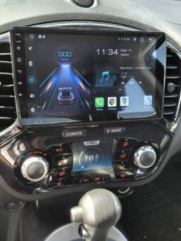 
										NISSAN JUKE full									