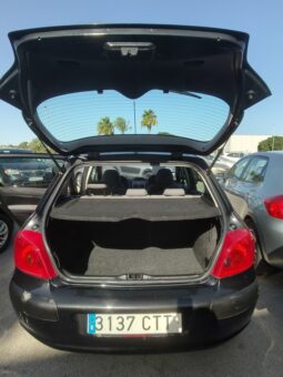 
										PEUGEOT 307 full									