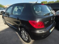 
										PEUGEOT 307 full									