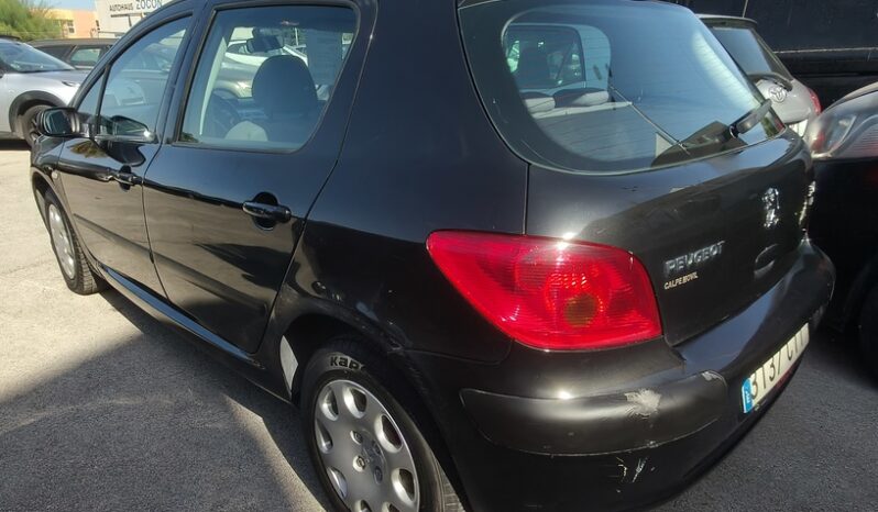 
								PEUGEOT 307 full									