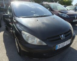
										PEUGEOT 307 full									